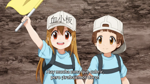Hataraku Saibou!!